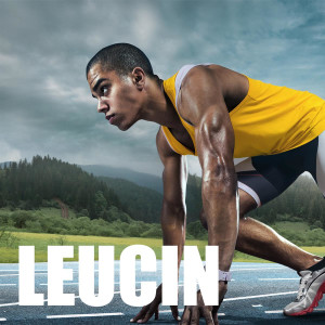 Leucin