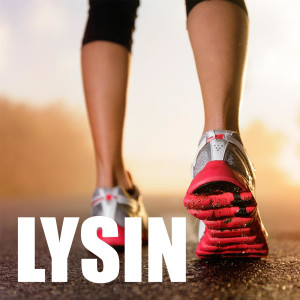 Lysin