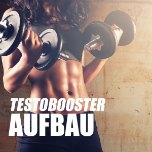 Testo Booster + Aufbau