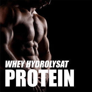 Whey Hydrolysat
