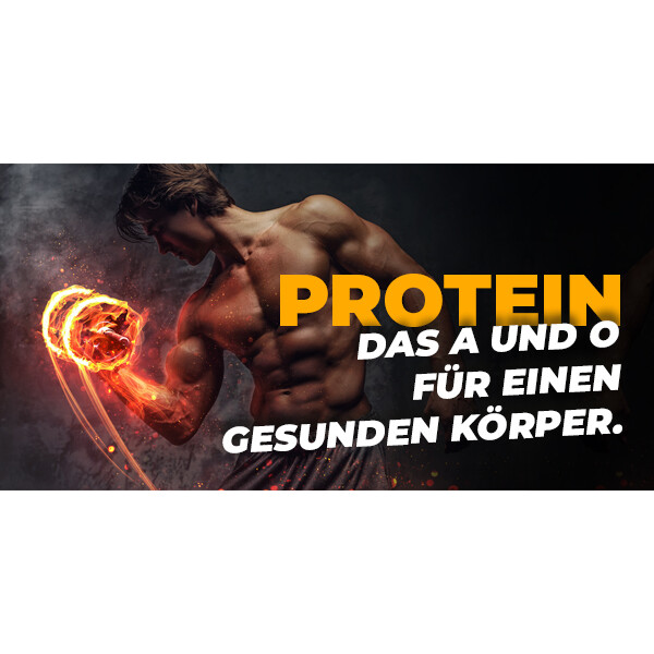 Eiweißstoffe oder Proteine bilden die Grundlage allen Lebens. - Protein, kohlenhydrate, fette. Grundlagen des Lebens