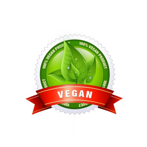 Vegan Protein Vanille Cream